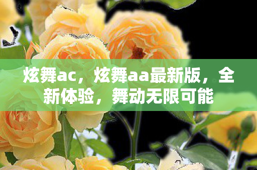 炫舞ac，炫舞aa最新版，全新体验，舞动无限可能