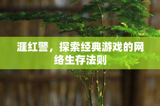 涯红警，探索经典游戏的网络生存法则