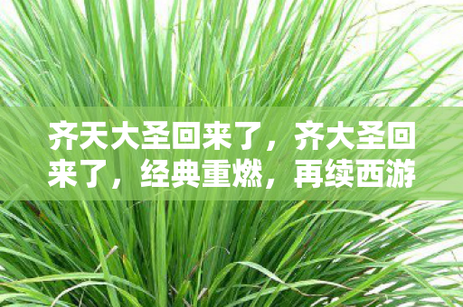 齐天大圣回来了，齐大圣回来了，经典重燃，再续西游传奇