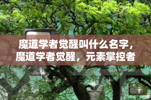 魔道学者觉醒叫什么名字,魔道学者觉醒,元素掌控者的觉醒 魔道学者觉醒叫什么名字,魔道学者觉醒,元素掌控者的觉醒