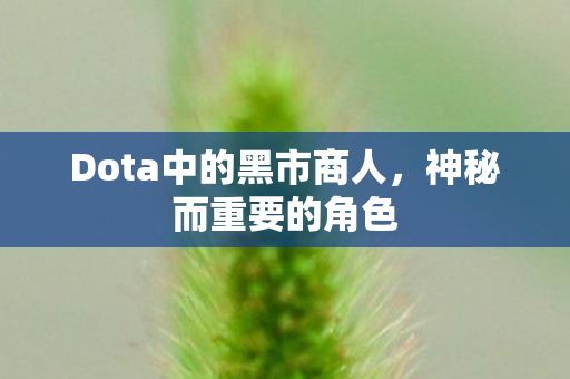Dota中的黑市商人,神秘而重要的角色 Dota中的黑市商人,神秘而重要的角色