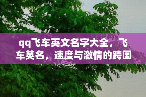 qq飞车英文名字大全,飞车英名,速度与激情的跨国界碰撞 qq飞车英文名字大全,飞车英名,速度与激情的跨国界碰撞