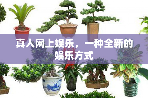 真人网上娱乐,一种全新的娱乐方式 真人网上娱乐,一种全新的娱乐方式