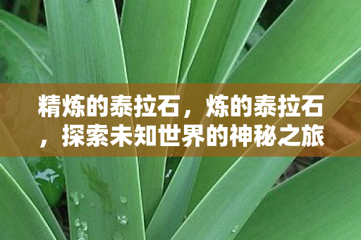 精炼的泰拉石,炼的泰拉石,探索未知世界的神秘之旅 精炼的泰拉石,炼的泰拉石,探索未知世界的神秘之旅