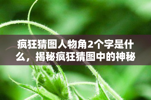 疯狂猜图人物角2个字是什么,揭秘疯狂猜图中的神秘人物,他的故事与游戏背后的秘密 疯狂猜图人物角2个字是什么,揭秘疯狂猜图中的神秘人物,他的故事与游戏背后的秘密