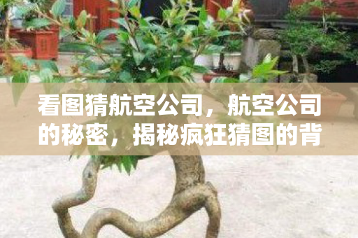 看图猜航空公司，航空公司的秘密，揭秘疯狂猜图的背后