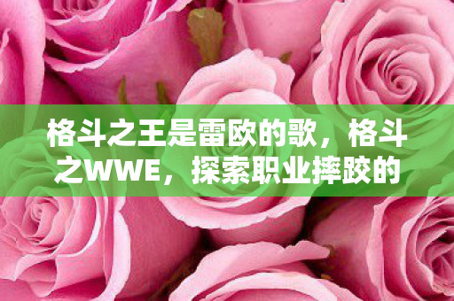 格斗之王是雷欧的歌,格斗之WWE,探索职业摔跤的激情与魅力 格斗之王是雷欧的歌,格斗之WWE,探索职业摔跤的激情与魅力