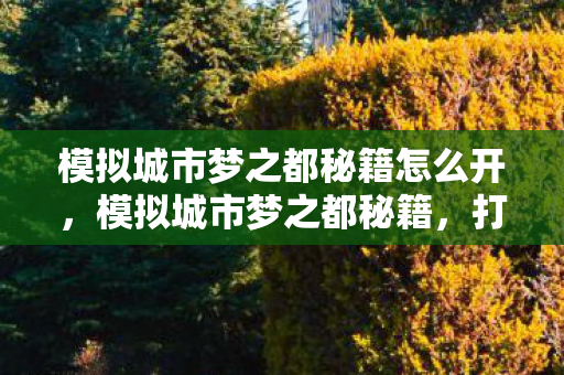 模拟城市梦之都秘籍怎么开,模拟城市梦之都秘籍,打造理想城市的策略与技巧 模拟城市梦之都秘籍怎么开,模拟城市梦之都秘籍,打造理想城市的策略与技巧