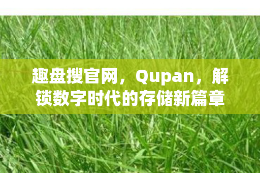 趣盘搜官网,Qupan,解锁数字时代的存储新篇章 趣盘搜官网,Qupan,解锁数字时代的存储新篇章