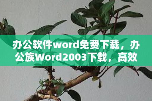办公软件word免费下载,办公族Word2003下载,高效办公的得力助手 办公软件word免费下载,办公族Word2003下载,高效办公的得力助手
