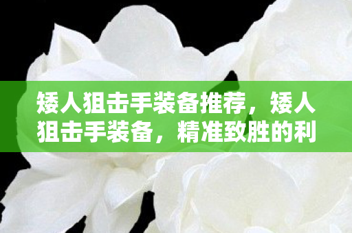 矮人狙击手装备推荐,矮人狙击手装备,精准致胜的利器 矮人狙击手装备推荐,矮人狙击手装备,精准致胜的利器
