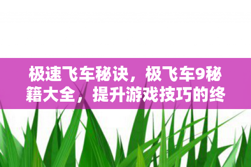 极速飞车秘诀，极飞车9秘籍大全，提升游戏技巧的终极指南