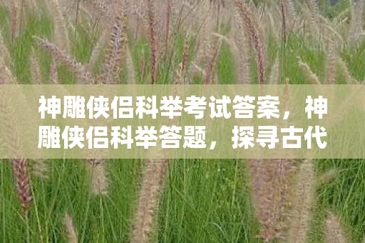 神雕侠侣科举考试答案,神雕侠侣科举答题,探寻古代文人的智慧与情怀 神雕侠侣科举考试答案,神雕侠侣科举答题,探寻古代文人的智慧与情怀