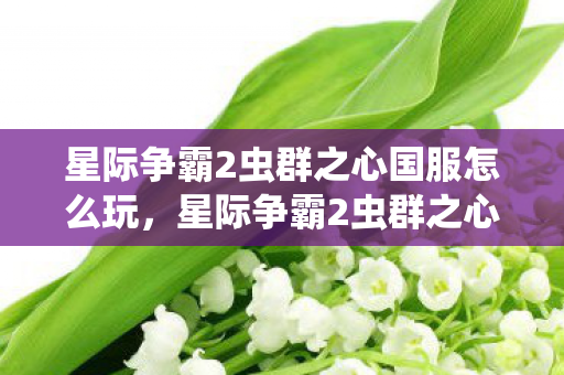 星际争霸2虫群之心国服怎么玩,星际争霸2虫群之心国服,深度解析虫群之心的魅力与影响 星际争霸2虫群之心国服怎么玩,星际争霸2虫群之心国服,深度解析虫群之心的魅力与影响