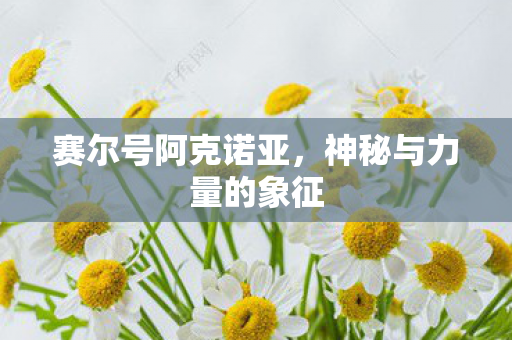赛尔号阿克诺亚,神秘与力量的象征 赛尔号阿克诺亚,神秘与力量的象征