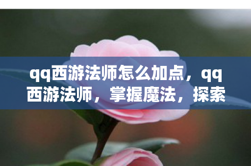 qq西游法师怎么加点,qq西游法师,掌握魔法,探索未知 qq西游法师怎么加点,qq西游法师,掌握魔法,探索未知