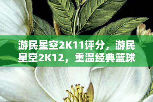 游民星空2K11评分,游民星空2K12,重温经典篮球游戏的魅力 游民星空2K11评分,游民星空2K12,重温经典篮球游戏的魅力