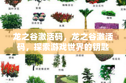 龙之谷激活码,龙之谷激活码,探索游戏世界的钥匙 龙之谷激活码,龙之谷激活码,探索游戏世界的钥匙