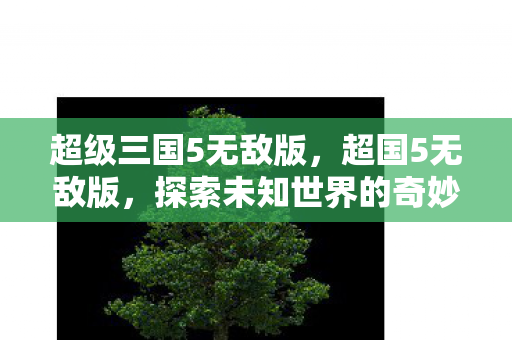 超级三国5无敌版,超国5无敌版,探索未知世界的奇妙之旅 超级三国5无敌版,超国5无敌版,探索未知世界的奇妙之旅