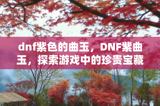 dnf紫色的曲玉,DNF紫曲玉,探索游戏中的珍贵宝藏 dnf紫色的曲玉,DNF紫曲玉,探索游戏中的珍贵宝藏