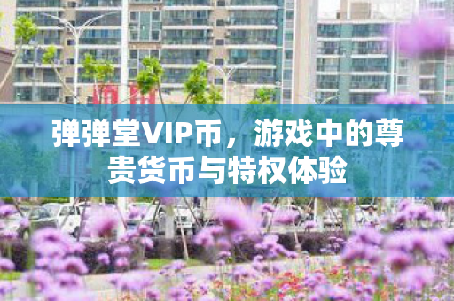 弹弹堂VIP币,游戏中的尊贵货币与特权体验 弹弹堂VIP币,游戏中的尊贵货币与特权体验