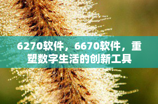 6270软件,6670软件,重塑数字生活的创新工具 6270软件,6670软件,重塑数字生活的创新工具