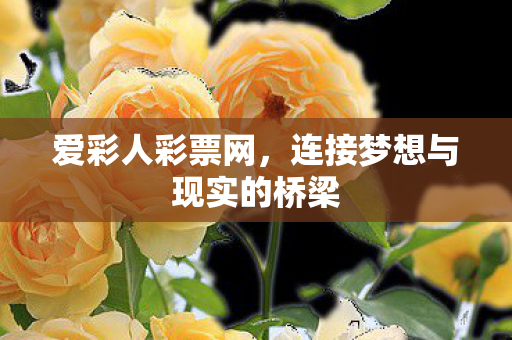 爱彩人彩票网,连接梦想与现实的桥梁 爱彩人彩票网,连接梦想与现实的桥梁