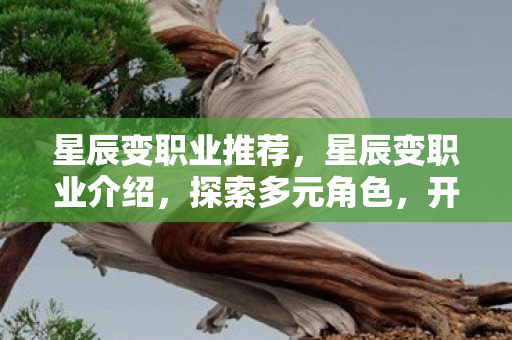 星辰变职业推荐,星辰变职业介绍,探索多元角色,开启奇幻之旅 星辰变职业推荐,星辰变职业介绍,探索多元角色,开启奇幻之旅