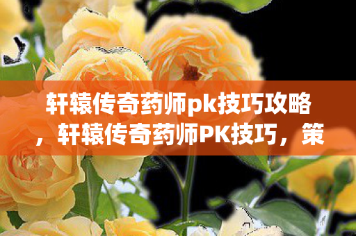 轩辕传奇药师pk技巧攻略,轩辕传奇药师PK技巧,策略与操作的艺术 轩辕传奇药师pk技巧攻略,轩辕传奇药师PK技巧,策略与操作的艺术