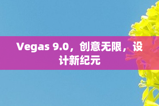 Vegas 9.0,创意无限,设计新纪元 Vegas 9.0,创意无限,设计新纪元