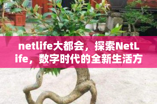 netlife大都会,探索NetLife,数字时代的全新生活方式 netlife大都会,探索NetLife,数字时代的全新生活方式
