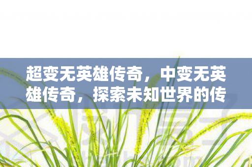 超变无英雄传奇,中变无英雄传奇,探索未知世界的传奇之旅 超变无英雄传奇,中变无英雄传奇,探索未知世界的传奇之旅