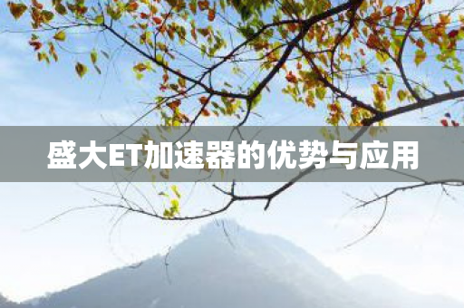 盛大ET加速器的优势与应用 盛大ET加速器的优势与应用