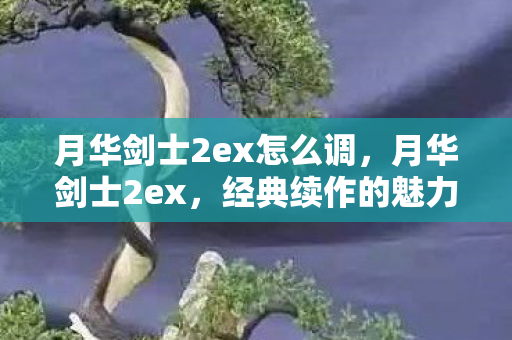 月华剑士2ex怎么调,月华剑士2ex,经典续作的魅力与挑战 月华剑士2ex怎么调,月华剑士2ex,经典续作的魅力与挑战