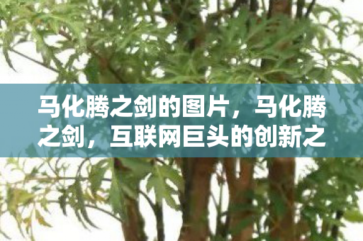 马化腾之剑的图片,马化腾之剑,互联网巨头的创新之路与未来展望 马化腾之剑的图片,马化腾之剑,互联网巨头的创新之路与未来展望