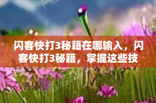 闪客快打3秘籍在哪输入,闪客快打3秘籍,掌握这些技巧,轻松通关! 闪客快打3秘籍在哪输入,闪客快打3秘籍,掌握这些技巧,轻松通关!