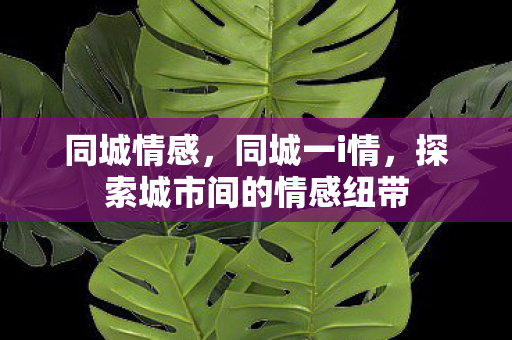 同城情感,同城一i情,探索城市间的情感纽带 同城情感,同城一i情,探索城市间的情感纽带