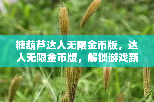 糖葫芦达人无限金币版,达人无限金币版,解锁游戏新境界,畅享无限可能 糖葫芦达人无限金币版,达人无限金币版,解锁游戏新境界,畅享无限可能