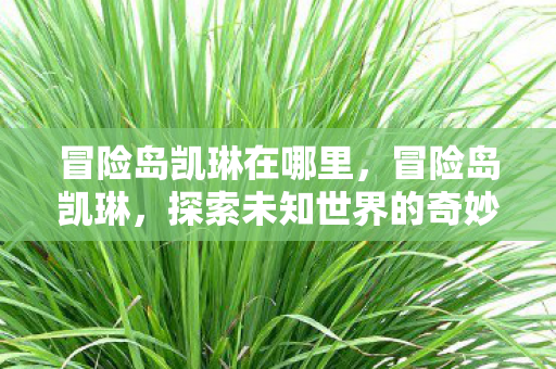 冒险岛凯琳在哪里,冒险岛凯琳,探索未知世界的奇妙之旅 冒险岛凯琳在哪里,冒险岛凯琳,探索未知世界的奇妙之旅