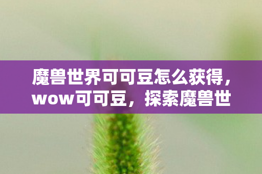 魔兽世界可可豆怎么获得,wow可可豆,探索魔兽世界私服背后的独特魅力与玩家心声 魔兽世界可可豆怎么获得,wow可可豆,探索魔兽世界私服背后的独特魅力与玩家心声