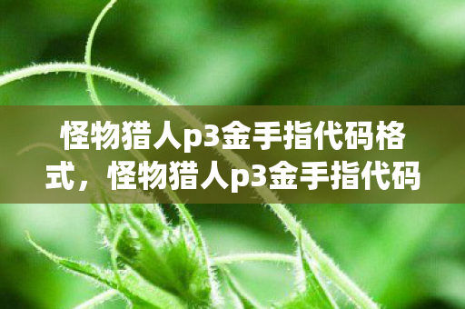 怪物猎人p3金手指代码格式,怪物猎人p3金手指代码使用指南 怪物猎人p3金手指代码格式,怪物猎人p3金手指代码使用指南