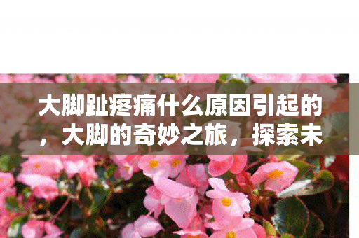 大脚趾疼痛什么原因引起的,大脚的奇妙之旅,探索未知的游戏世界 大脚趾疼痛什么原因引起的,大脚的奇妙之旅,探索未知的游戏世界