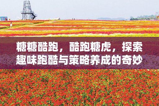糖糖酷跑,酷跑糖虎,探索趣味跑酷与策略养成的奇妙结合 糖糖酷跑,酷跑糖虎,探索趣味跑酷与策略养成的奇妙结合