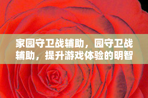 家园守卫战辅助,园守卫战辅助,提升游戏体验的明智选择 家园守卫战辅助,园守卫战辅助,提升游戏体验的明智选择