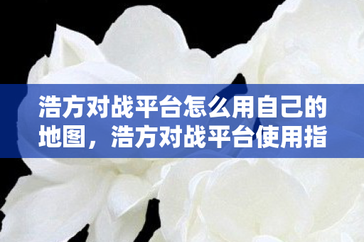 浩方对战平台怎么用自己的地图,浩方对战平台使用指南 浩方对战平台怎么用自己的地图,浩方对战平台使用指南