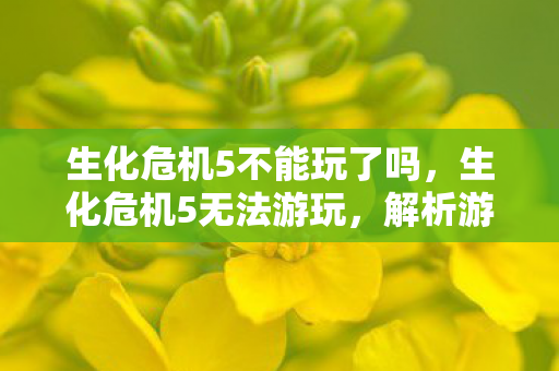 生化危机5不能玩了吗,生化危机5无法游玩,解析游戏兼容性与技术限制 生化危机5不能玩了吗,生化危机5无法游玩,解析游戏兼容性与技术限制