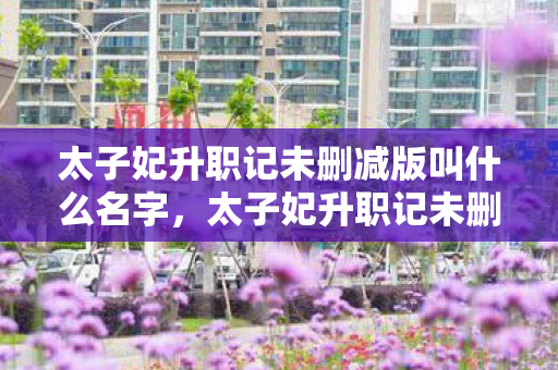 太子妃升职记未删减版叫什么名字,太子妃升职记未删减,一场宫廷风云的细腻描绘 太子妃升职记未删减版叫什么名字,太子妃升职记未删减,一场宫廷风云的细腻描绘