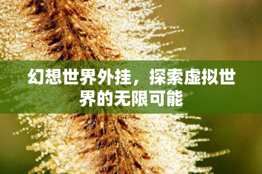 幻想世界外挂,探索虚拟世界的无限可能 幻想世界外挂,探索虚拟世界的无限可能