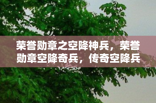 荣誉勋章之空降神兵，荣誉勋章空降奇兵，传奇空降兵背后的荣耀与牺牲