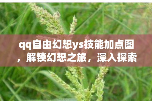 qq自由幻想ys技能加点图，解锁幻想之旅，深入探索QQ自由幻想YS技能